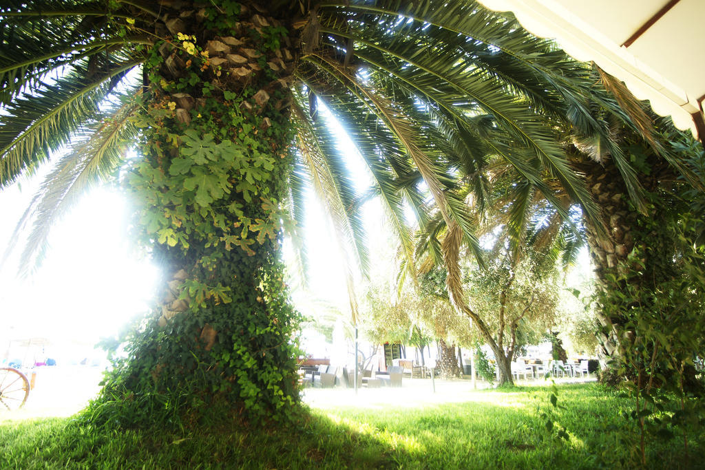 Possidona Beach Hotel Gerakini Exterior foto